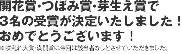開花賞・つぼみ賞・芽生え賞で３名の受賞が決定いたしました！おめでとうございます！※咲乱れ大賞・満開賞は今回は該当者なしとさせていただきました。