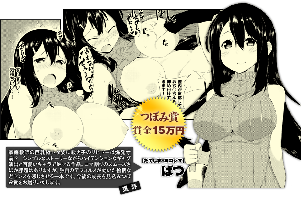 つぼみ賞・『たてしま×ヨコシマ』ばつ